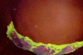 OUTCALLS - 24 - Image 3