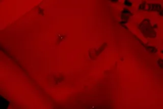 Facetime Shows $50 • Content f... - Image 3